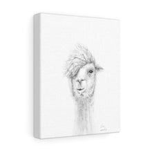 KEN Llama - Art Canvas