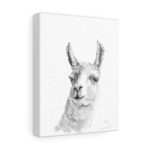 RUBY Llama - Art Canvas