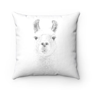 Llama Pillow - LINH