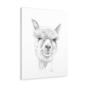 PAUL Llama - Art Canvas