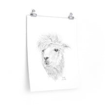 JOSEPH Llama- Art Paper Print