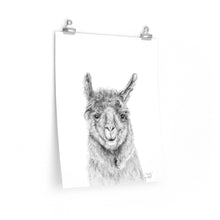 TRUDY Llama- Art Paper Print