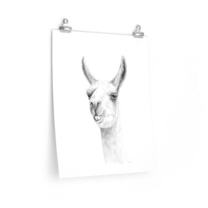 MAGDALENA Llama- Art Paper Print