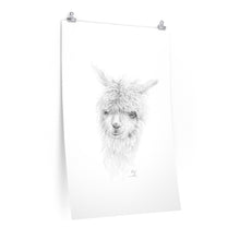 LILY Llama- Art Paper Print