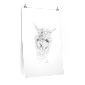 LILY Llama- Art Paper Print