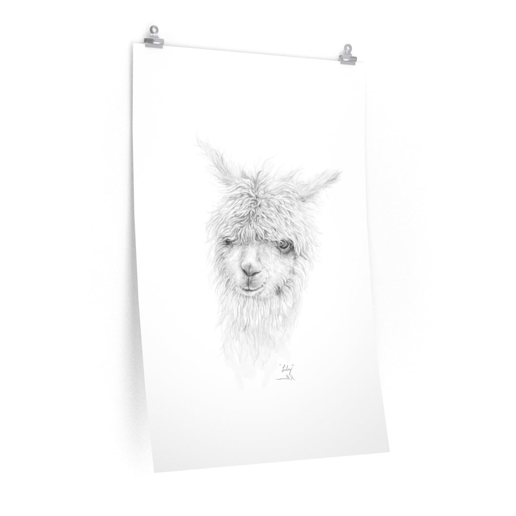 LILY Llama- Art Paper Print