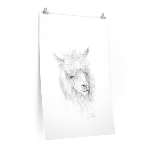 AUDRA Llama- Art Paper Print