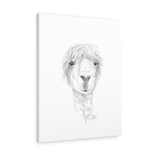 MARLEY Llama - Art Canvas