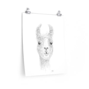 MALLORY Llama- Art Paper Print