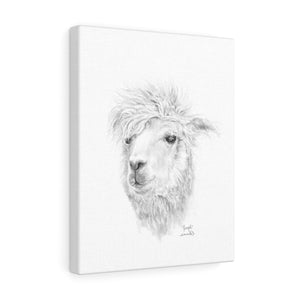 JOSEPH Llama - Art Canvas