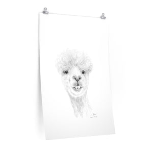 SHAN Llama- Art Paper Print