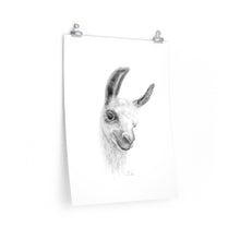 KARIN Llama- Art Paper Print