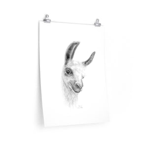 KARIN Llama- Art Paper Print