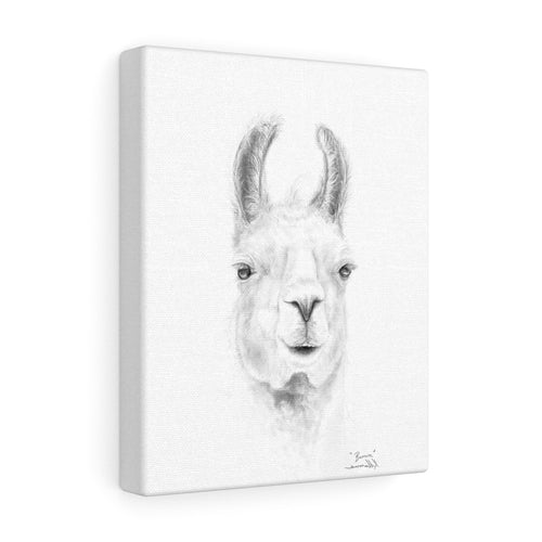 BROWN Llama - Art Canvas