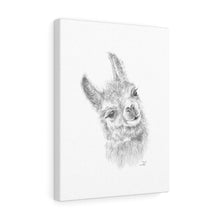 Posey Llama - Art Canvas