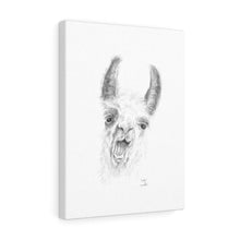 Gabby Llama - Art Canvas