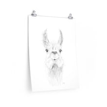 ZAILAH Llama- Art Paper Print