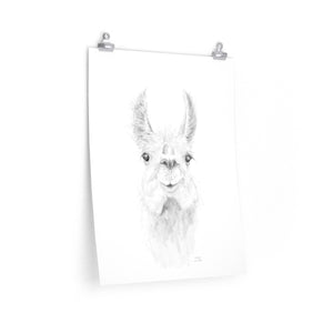 ZAILAH Llama- Art Paper Print