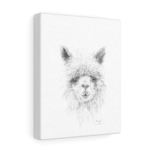 SHERYL Llama - Art Canvas