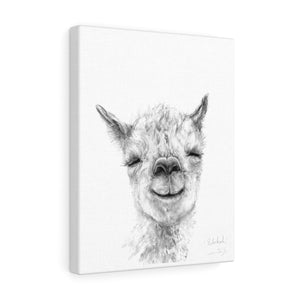 REBEKAH Llama - Art Canvas