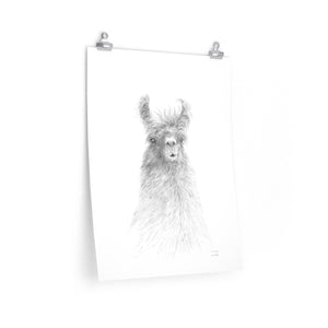 FRANCINE Llama- Art Paper Print