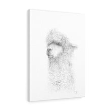 HARRIET Llama - Art Canvas