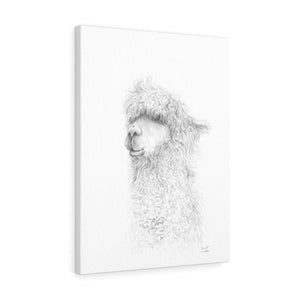 HARRIET Llama - Art Canvas