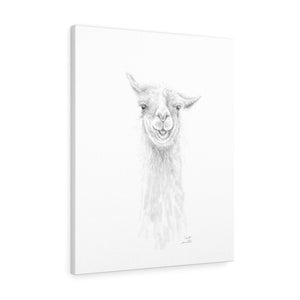 SCOTT Llama - Art Canvas