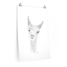 HALEY Llama- Art Paper Print
