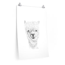 RANDI Llama- Art Paper Print