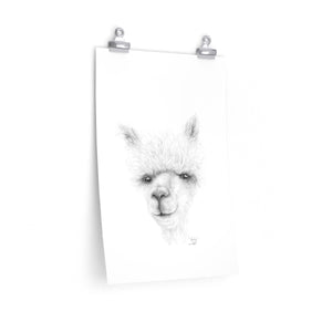 KADY Llama- Art Paper Print