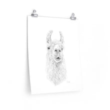 SABRINA Llama- Art Paper Print
