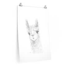 CHLOE Llama- Art Paper Print