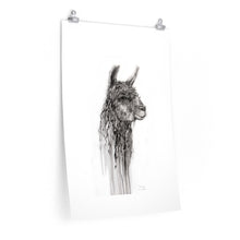 CHARLENE Llama- Art Paper Print