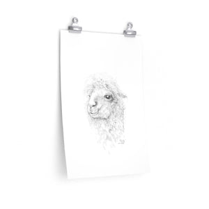 MANDY Llama- Art Paper Print