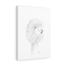 MIRIAM Llama- Art Canvas