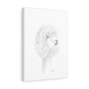 MIRIAM Llama- Art Canvas