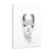 VICKIE Llama - Art Canvas