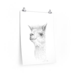 NOAH Llama- Art Paper Print