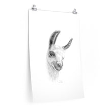 KARIN Llama- Art Paper Print