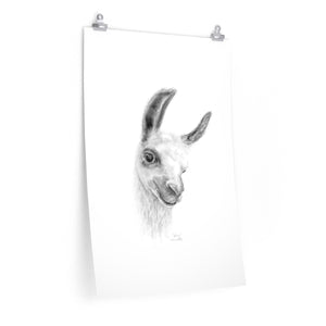 KARIN Llama- Art Paper Print