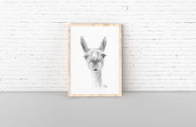 ADDISON Llama- Art Canvas