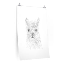 BROOKLYN Llama- Art Paper Print