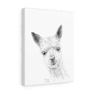 CAMRYN Llama - Art Canvas