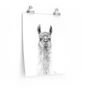 DONNA Llama- Art Paper Print