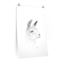 MARIA Llama- Art Paper Print