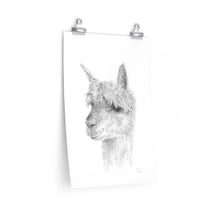 JAZOARA Llama- Art Paper Print