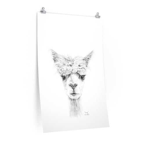 TRACY Llama- Art Paper Print