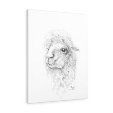 Mandy Llama - Art Canvas