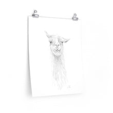 SCOTT Llama- Art Paper Print